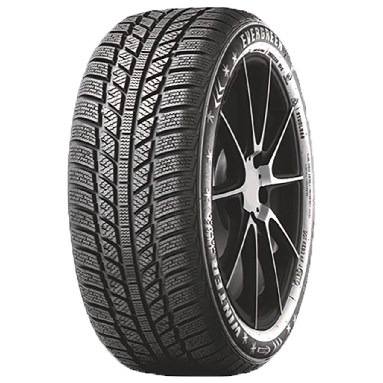 EVERGREEN EW62 205/45R16 87H BSW XL